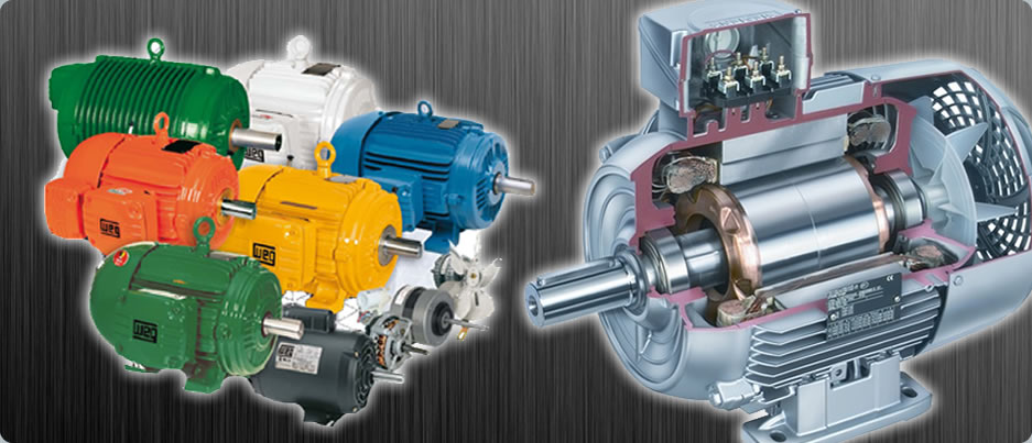 MOTORES ELTRICOS E MOTOREDUTORES.